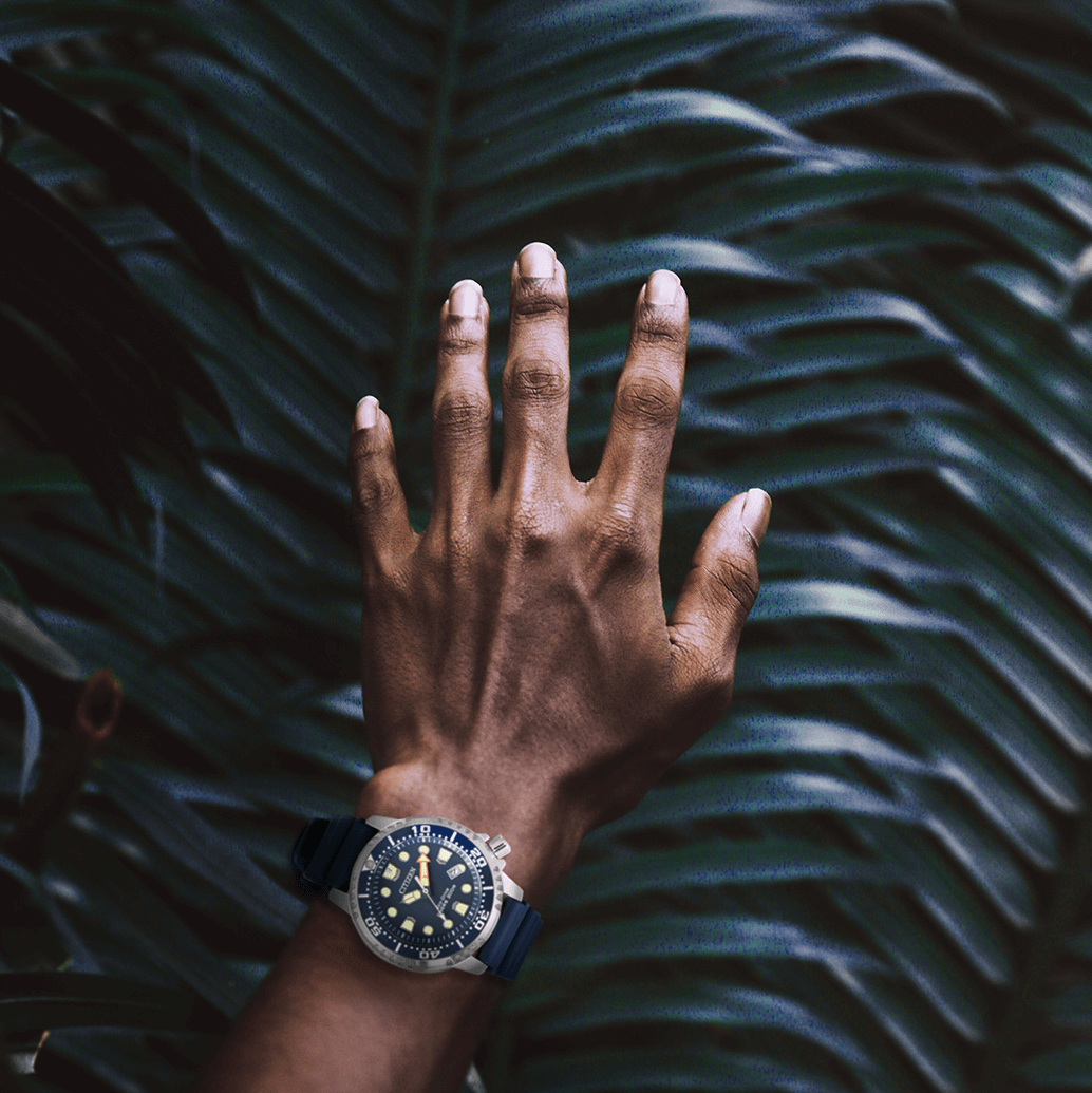 citizen palmier